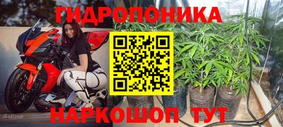 mix Гатчина