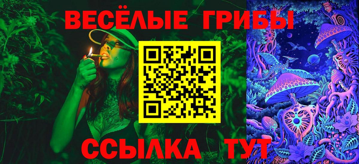 Псилоцибиновые грибы ЛСД  Вход с VPN  Нальчик  Галлюциногенные грибы ЛСД 