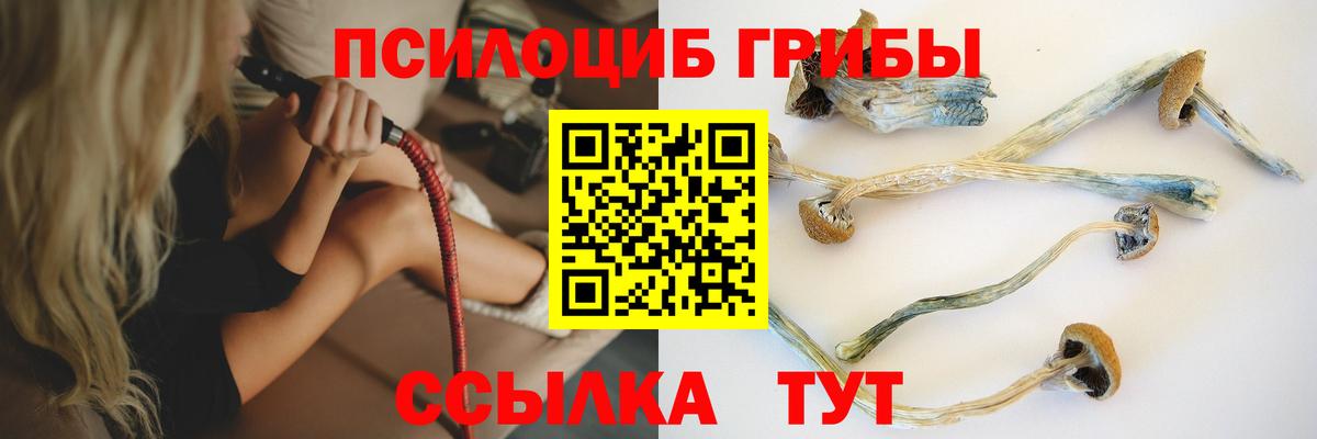 Псилоцибиновые грибы GOLDEN TEACHER Нальчик
