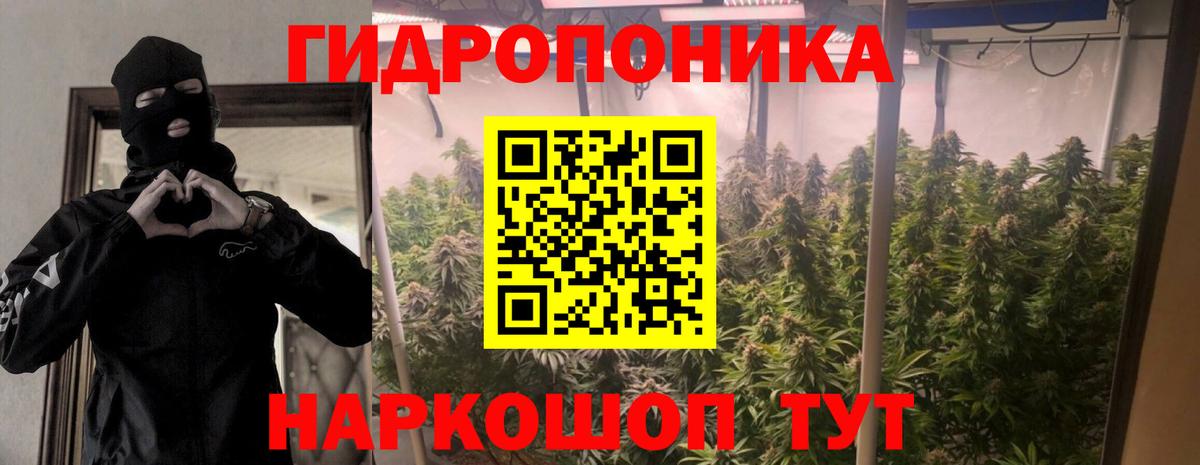 Шишки марихуана Amnesia Нальчик